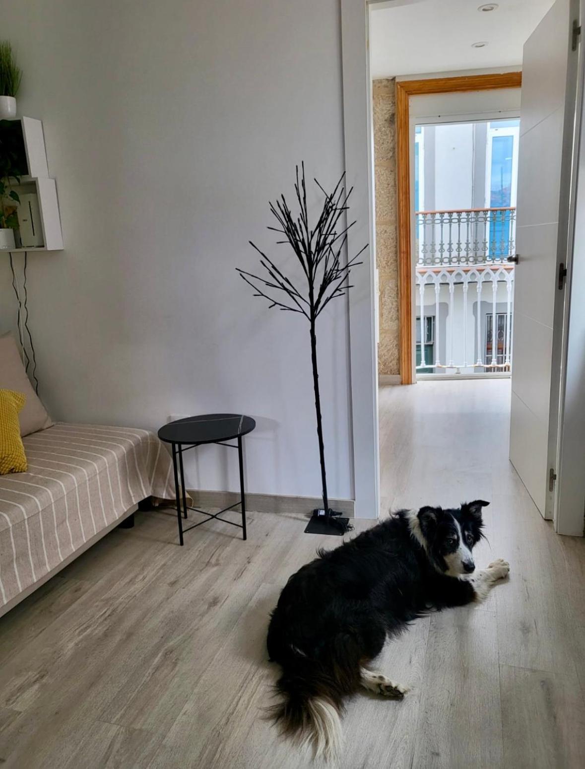 Apartamento Centrico Y Acogedor Vigo Zewnętrze zdjęcie